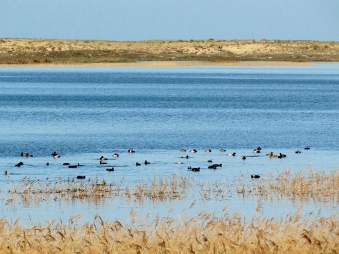 La Gallega Valdoviño Esterno foto